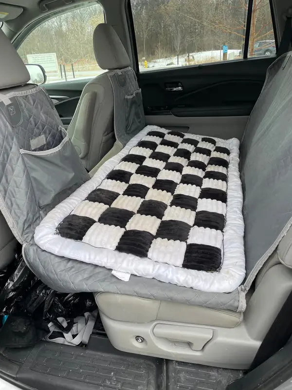 Recensione cliente kit completo per esigenze di viaggio con cane